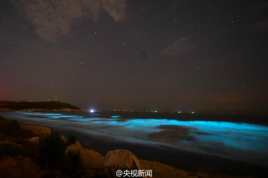 大神：绝景版